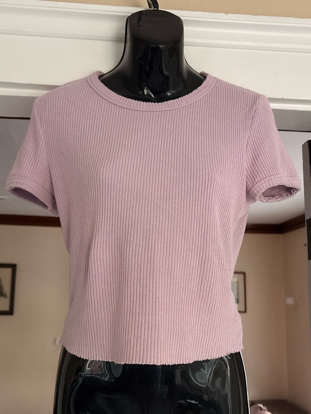 Urban Outfitters Lavender Ribbed Cropped Tee